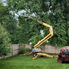 Best Organic Lawn Care Solutions  in Port Hadlock Irondale, WA