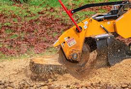 Trusted Port Hadlock Irondale, WA Tree Services Experts