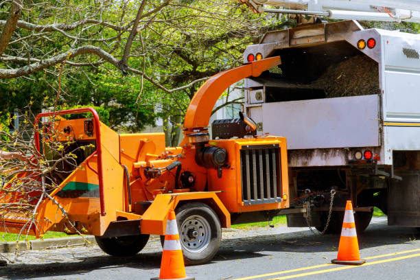 Best Fruit Tree Pruning  in Port Hadlock Irondale, WA