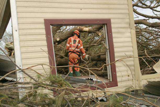 Best Tree Health Inspection  in Port Hadlock Irondale, WA