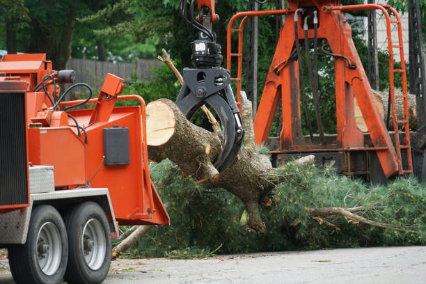 Best Pest Control for Lawns  in Port Hadlock Irondale, WA