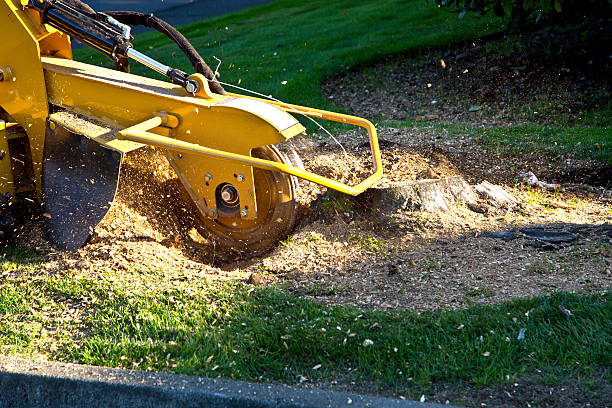 Best Sod Installation  in Port Hadlock Irondale, WA